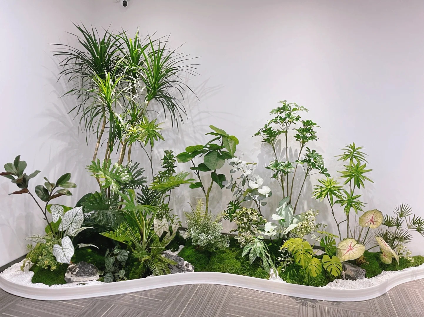 专业花卉租摆，宁波江北让你的空间更具活力